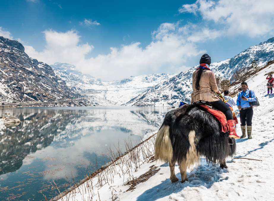 Yak Ride