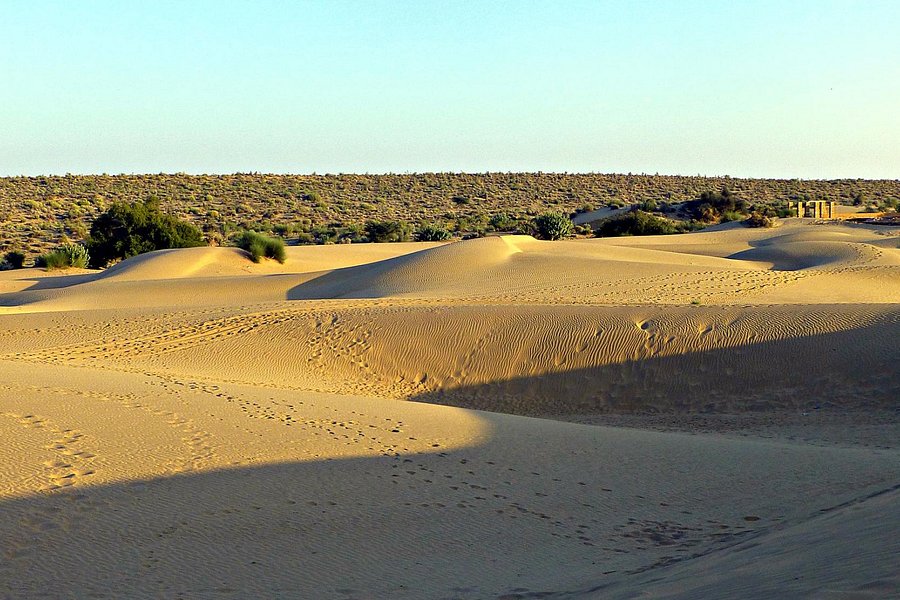 Desert National Park