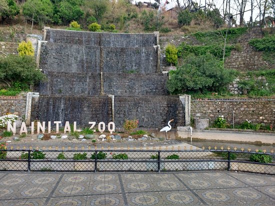 Visit Nainital Zoo