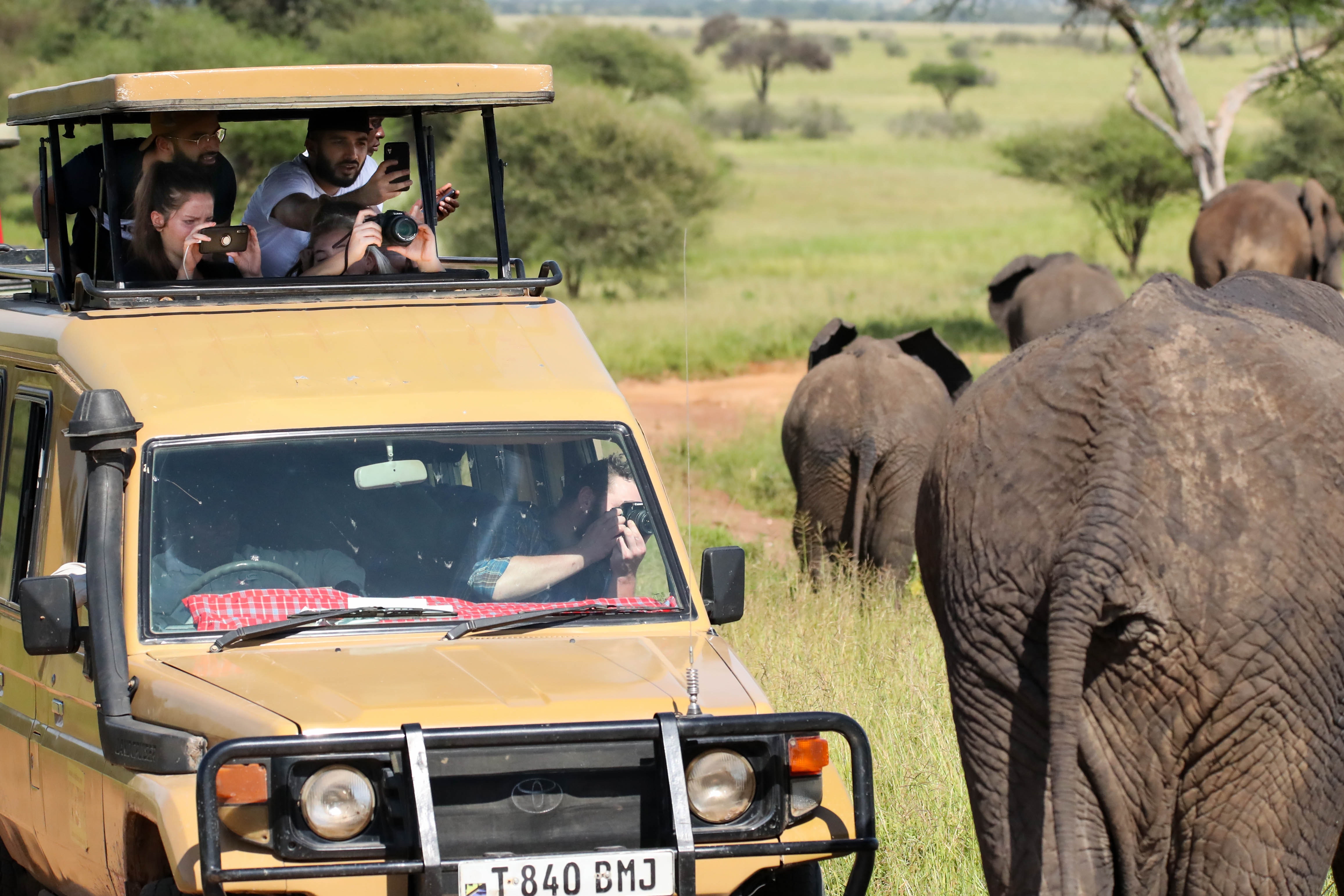 Jeep Safari