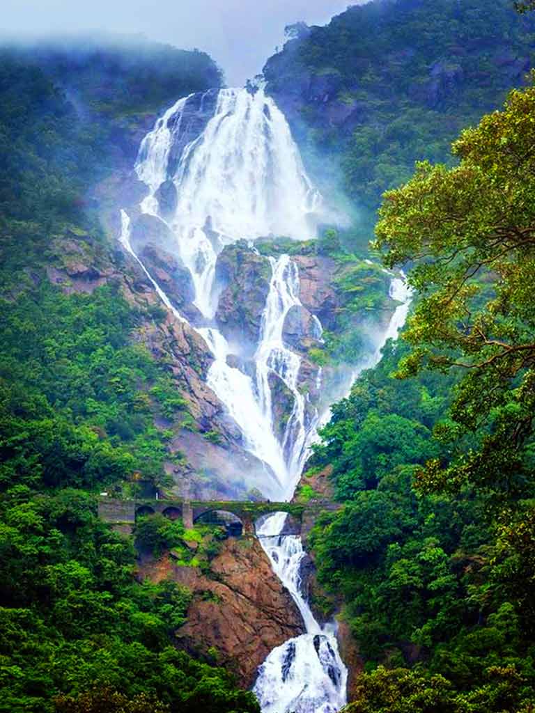 Visit Dudhsagar Falls