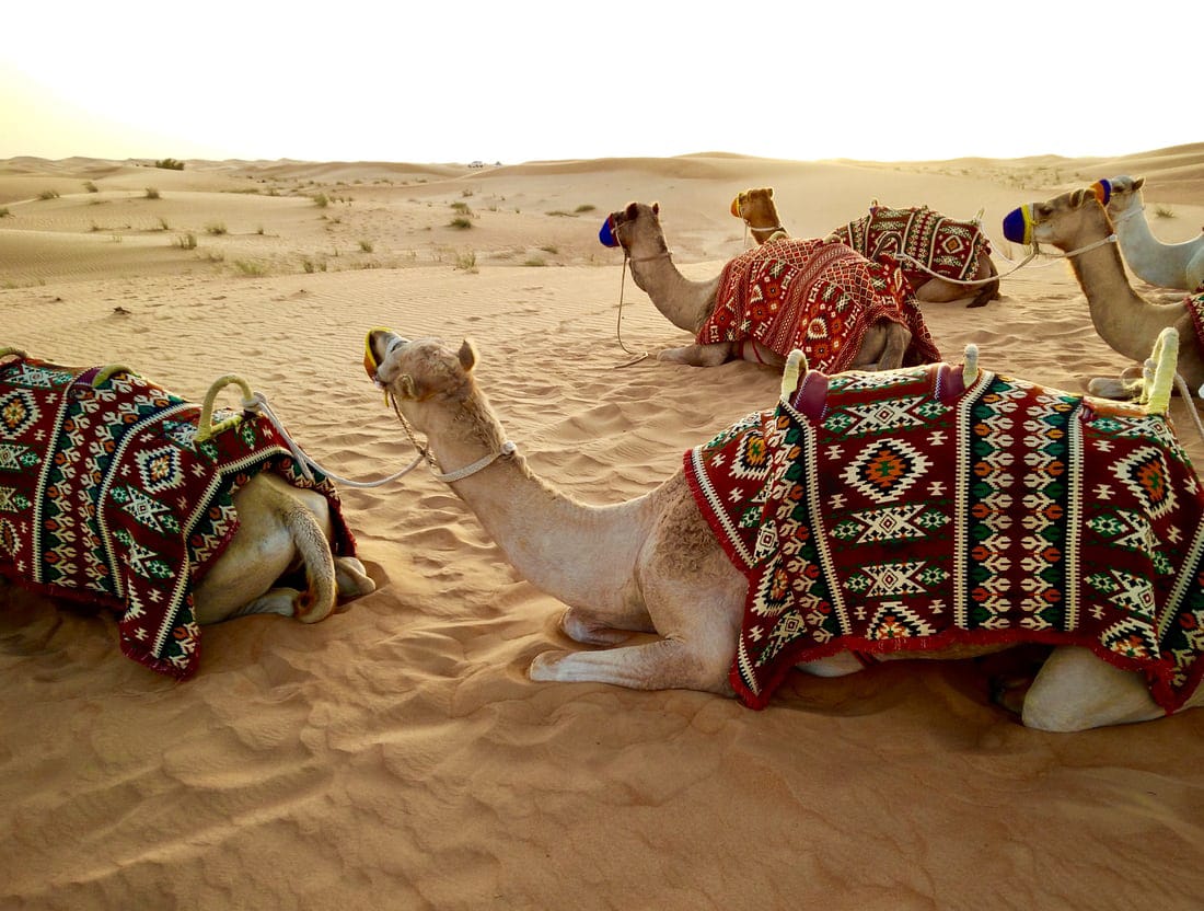 Jaisalmer