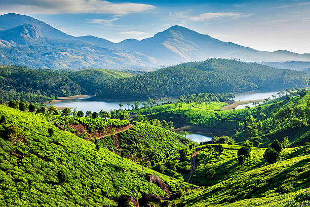 Kerala Honeymoon ( Mysore - Wayanad - Calicut )